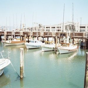 Meet your Posher, Estelle